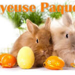 Menu du 6 au 12 avril 2026